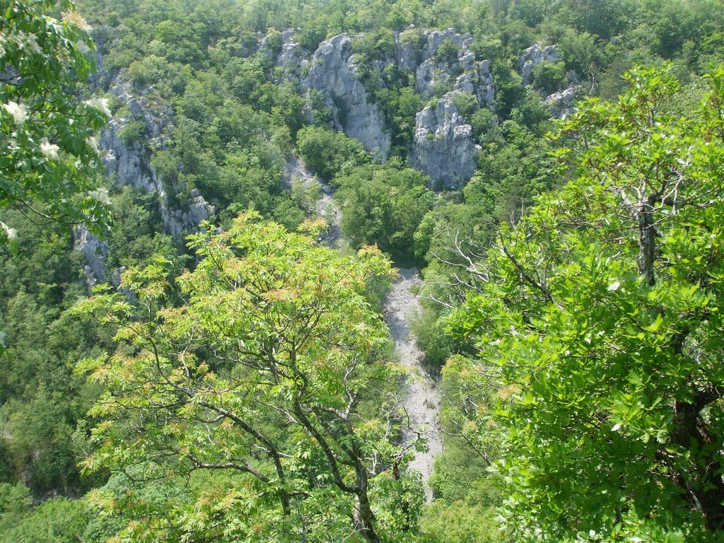 Bed and Breakfast Osterija Na Planinci Дивача Экстерьер фото